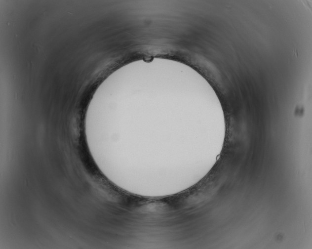 X0000101670210200808071052