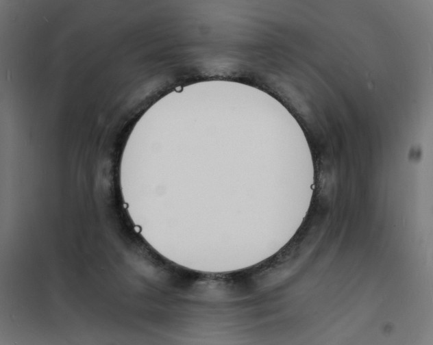 X0000101670211200808071052