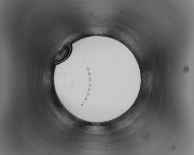 X0000101670212200808071052