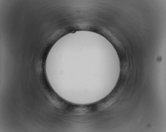 X0000101670213200808071052