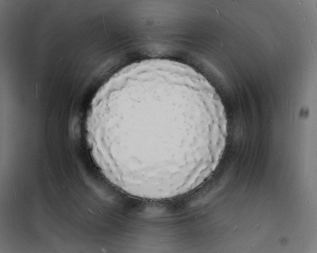 X0000101670214200808071052