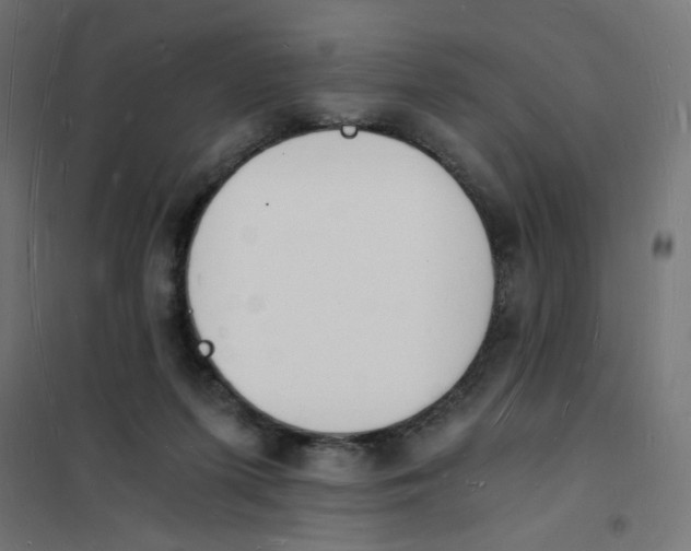 X0000101670215200808071052