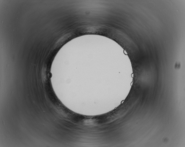 X0000101670216200808071052