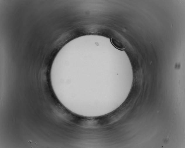 X0000101670217200808071052
