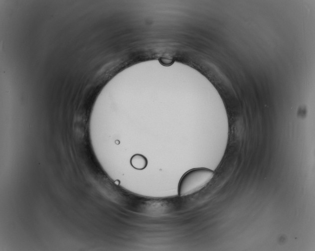 X0000101670218200808071052