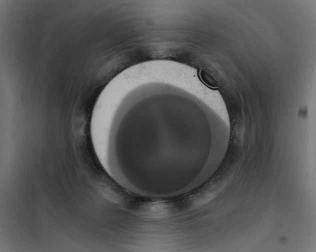 X0000101670219200808071052