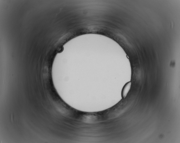X0000101670220200808071052