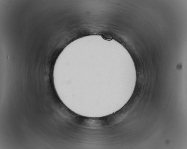 X0000101670221200808071052