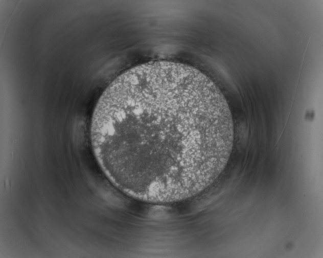 X0000101670222200808071052