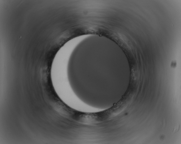 X0000101670223200808071052