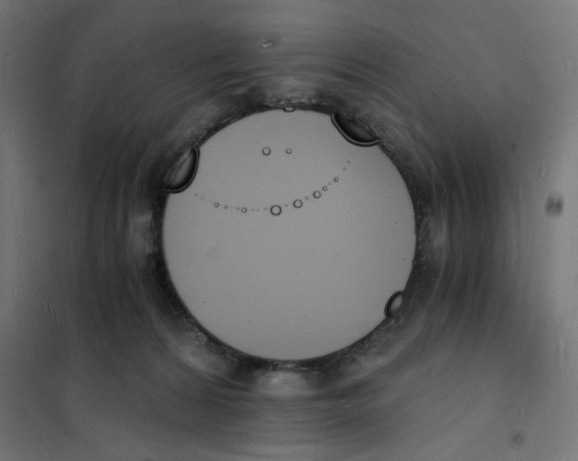 X0000101670224200808071052