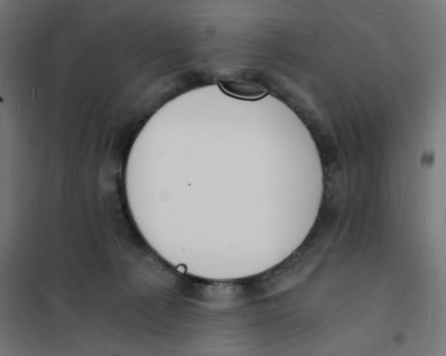 X0000101670225200808071052
