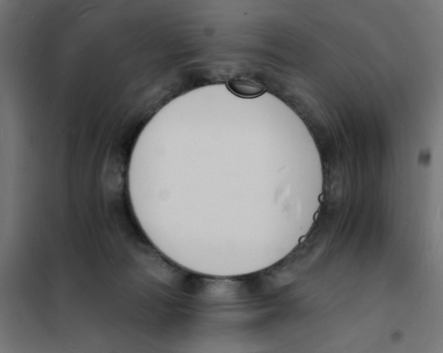 X0000101670226200808071052
