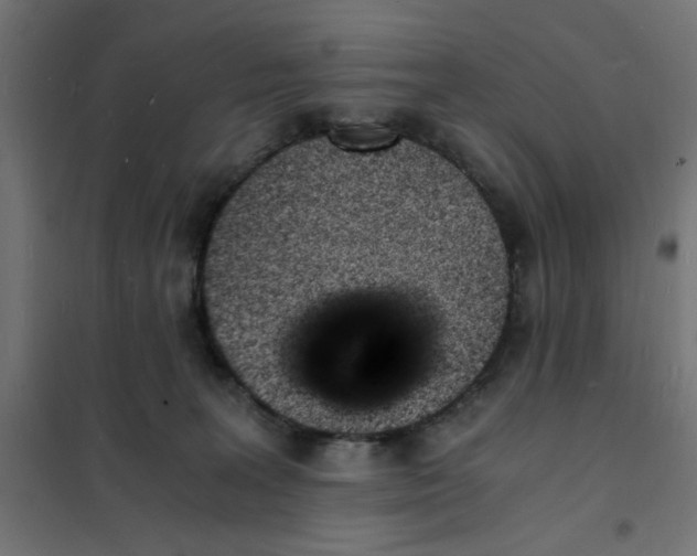 X0000101670227200808071052