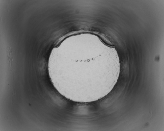 X0000101670228200808071052