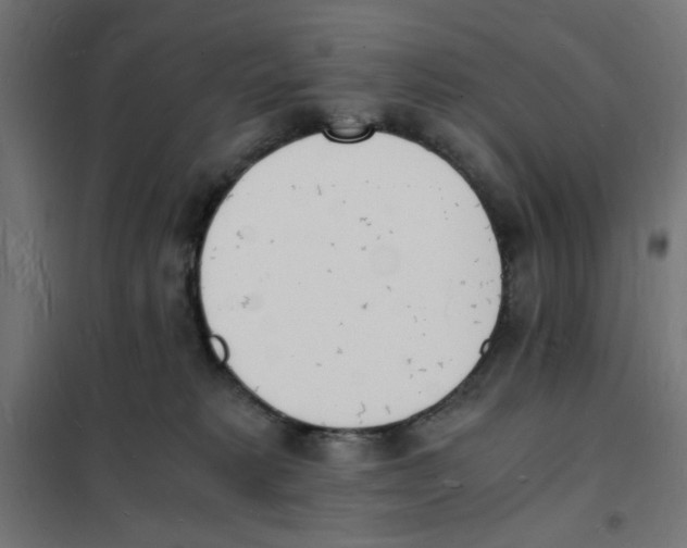 X0000101670229200808071052