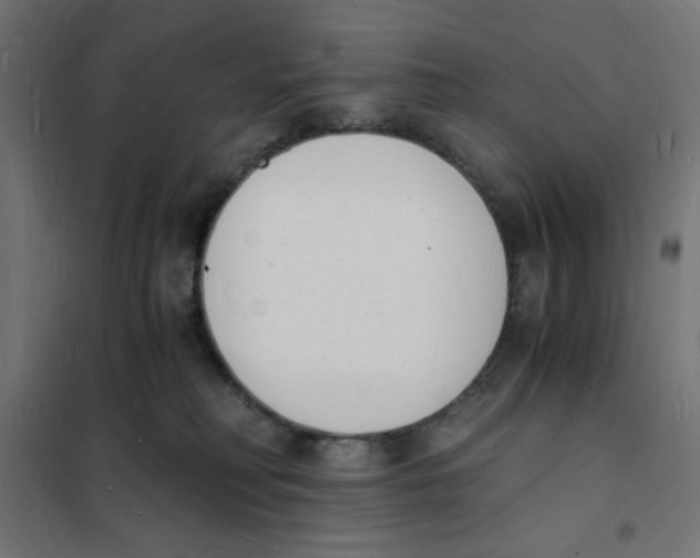 X0000101670230200808071052