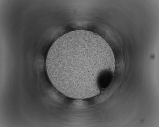 X0000101670231200808071052