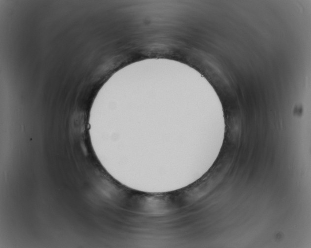 X0000101670232200808071052