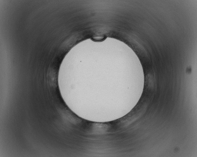 X0000101670234200808071052