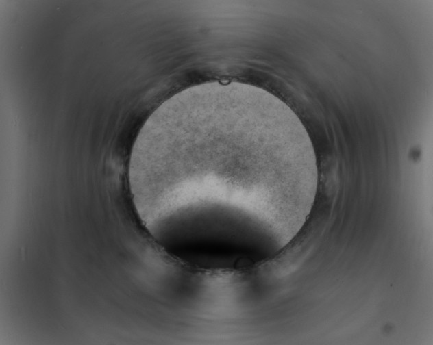 X0000101670235200808071052