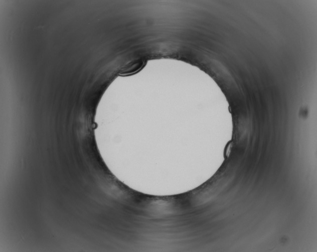 X0000101670236200808071052
