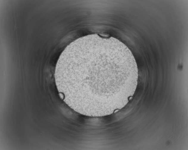X0000101670237200808071052