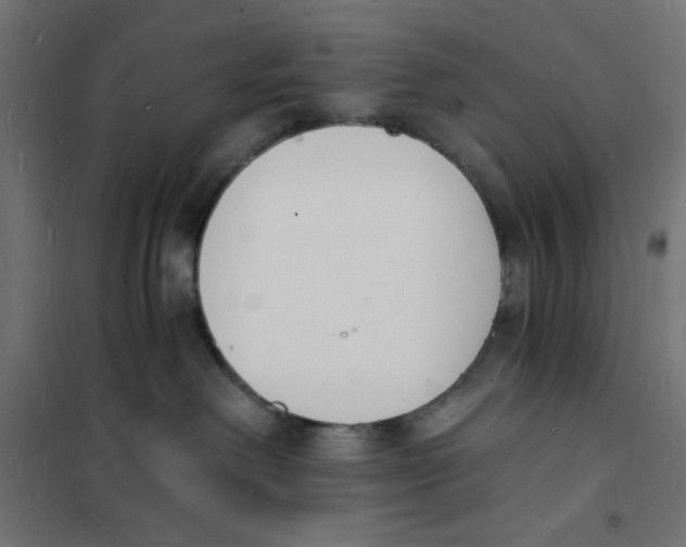X0000101670238200808071052