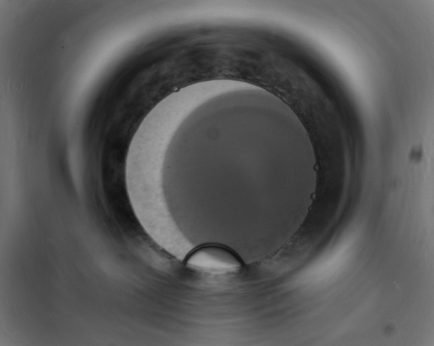X0000101670239200808071052