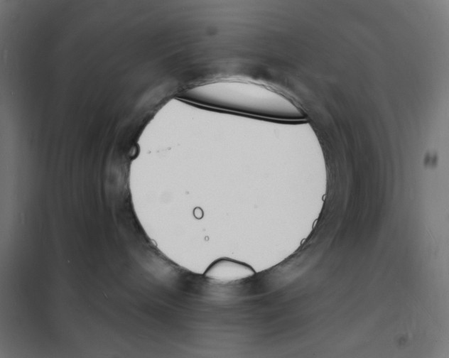 X0000101670240200808071052