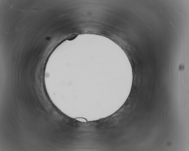 X0000101670241200808071051
