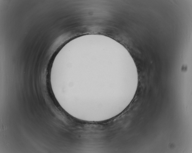 X0000101670242200808071051