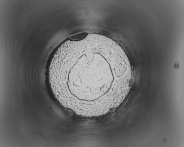 X0000101670243200808071051