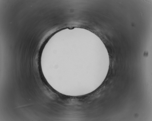X0000101670244200808071051