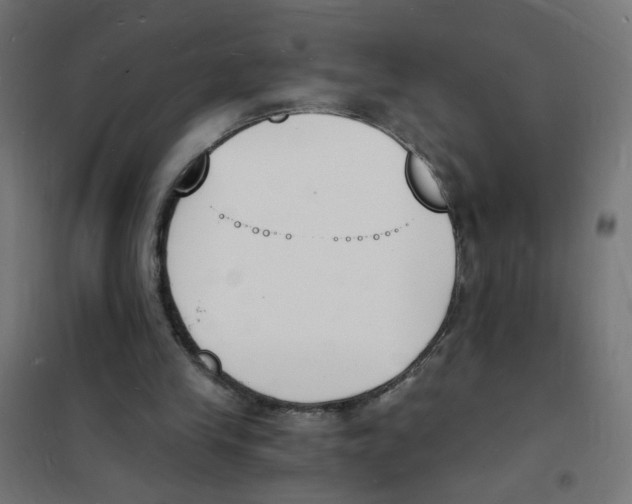 X0000101670245200808071051