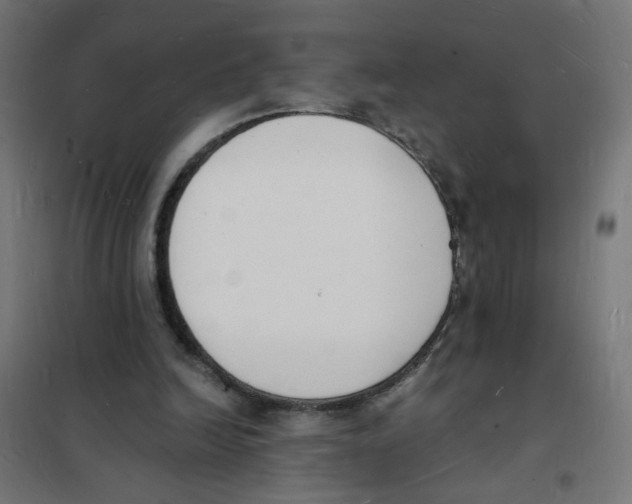 X0000101670246200808071051
