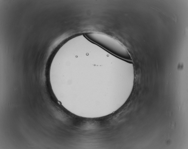 X0000101670248200808071051