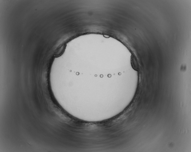 X0000101670249200808071051