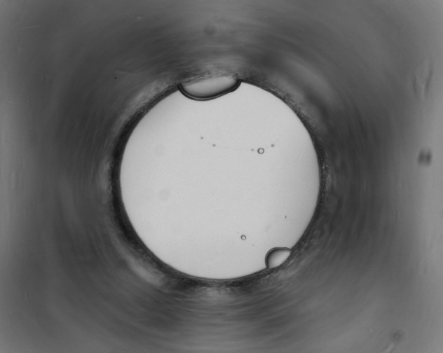 X0000101670250200808071051