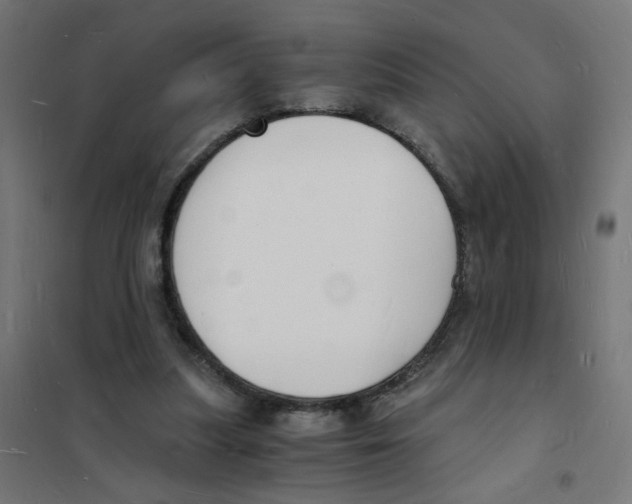 X0000101670251200808071051