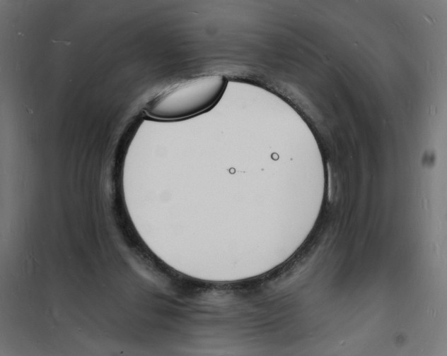 X0000101670252200808071051