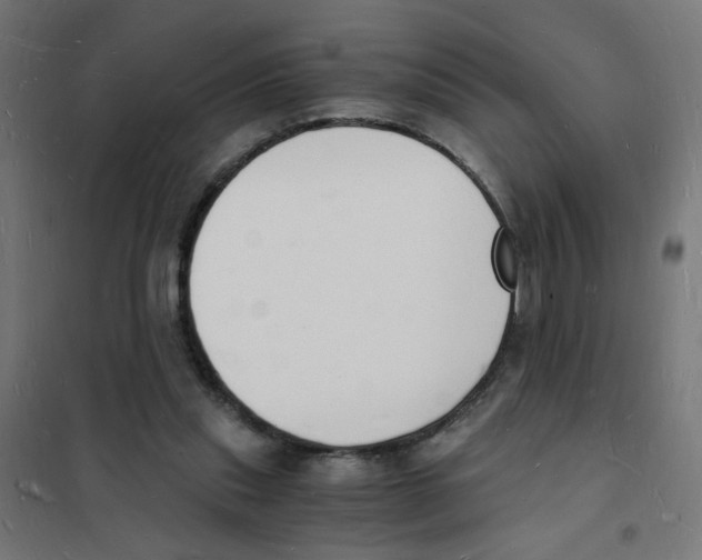 X0000101670253200808071051