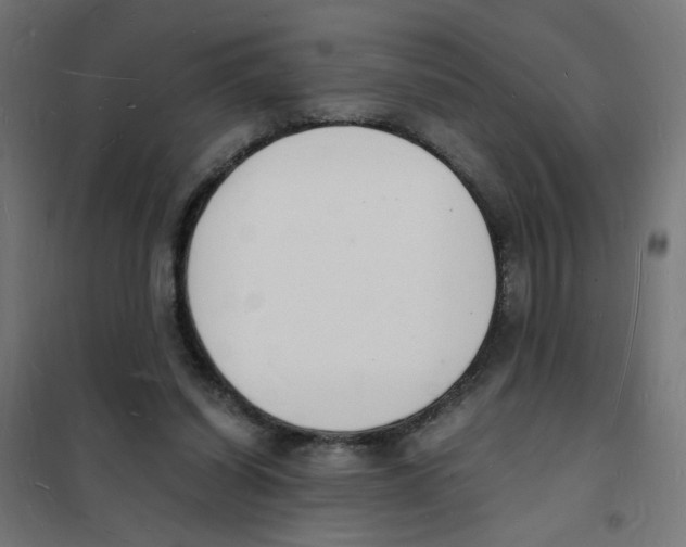 X0000101670254200808071052