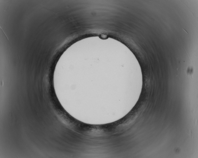 X0000101670256200808071052