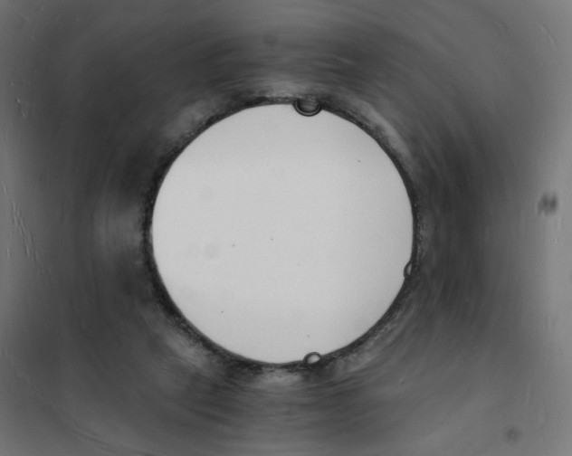 X0000101670257200808071052