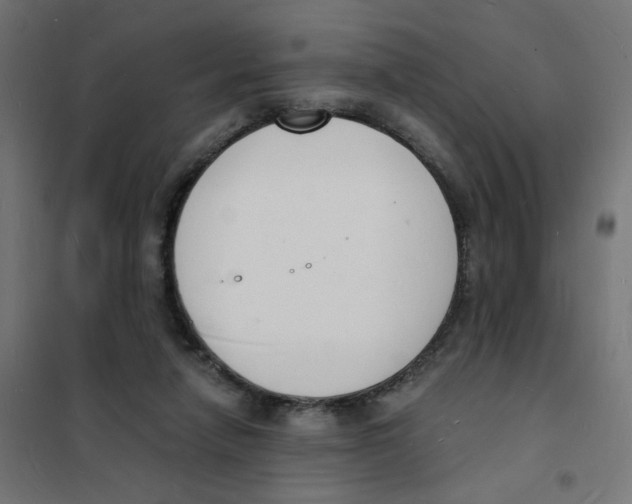 X0000101670258200808071052