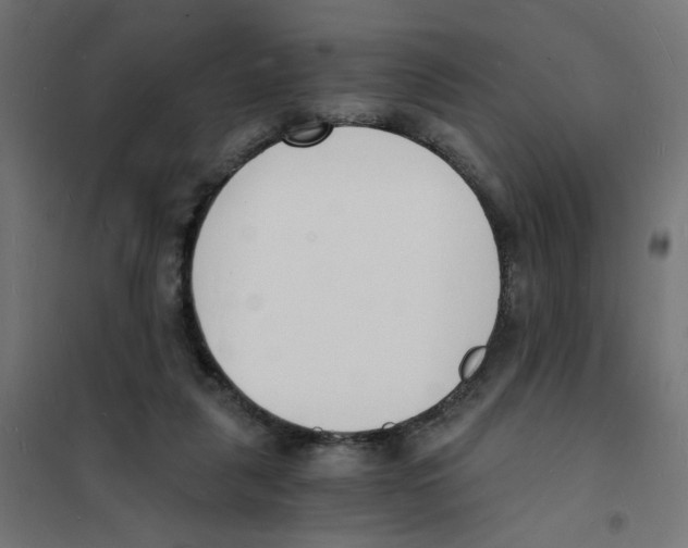 X0000101670259200808071052