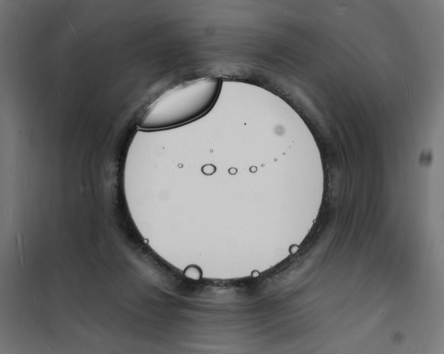 X0000101670260200808071052