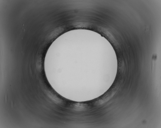 X0000101670261200808071052