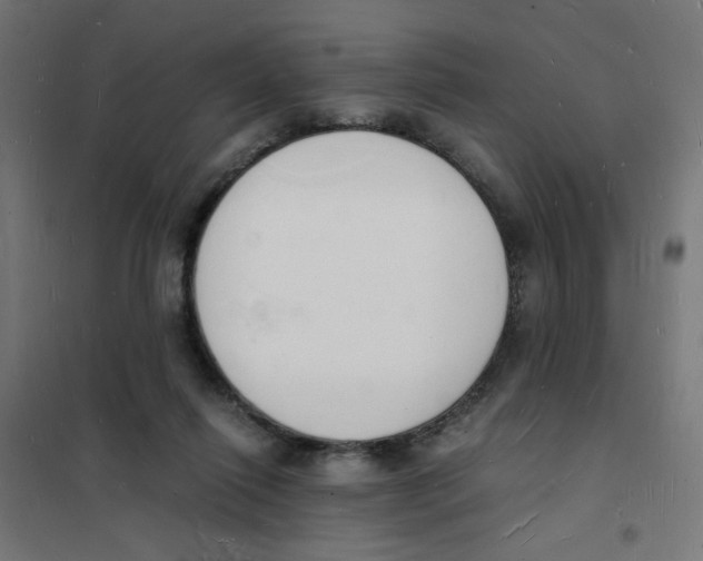 X0000101670262200808071052